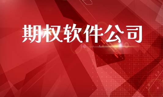 期权软件公司_https://m.15771688.com_美国道指_第1张