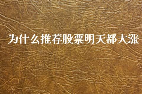 为什么推荐股票明天都大涨_https://m.15771688.com_期货手续费_第1张