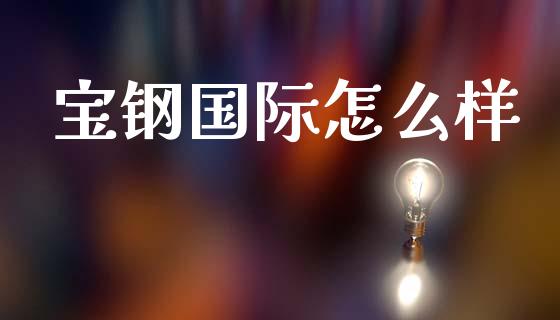 宝钢国际怎么样_https://m.15771688.com_期货开户_第1张