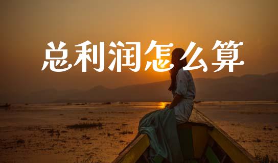 总利润怎么算_https://m.15771688.com_美国道指_第1张