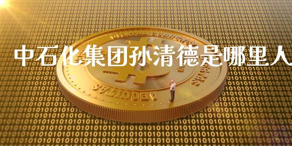 中石化集团孙清德是哪里人_https://m.15771688.com_期货开户_第1张