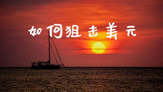 如何狙击美元_https://m.15771688.com_期货手续费_第1张