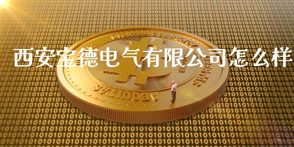 西安宝德电气有限公司怎么样_https://m.15771688.com_期货开户_第1张
