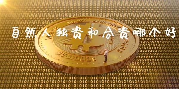 自然人独资和合资哪个好_https://m.15771688.com_期货手续费_第1张