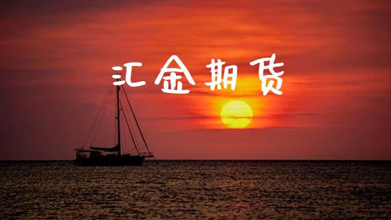 汇金期货_https://m.15771688.com_期货开户_第1张