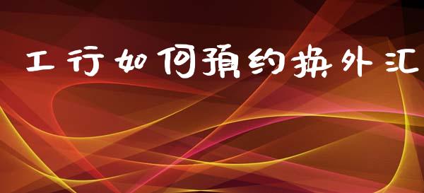 工行如何预约换外汇_https://m.15771688.com_美国道指_第1张