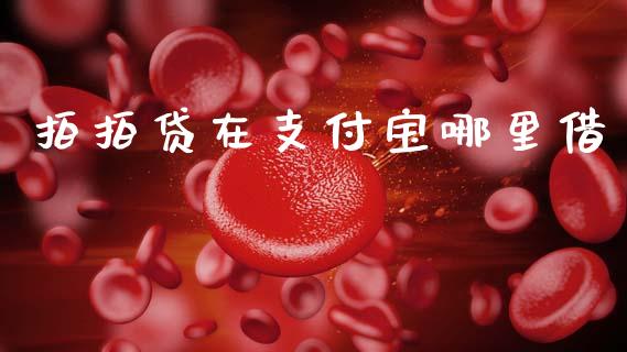 拍拍贷在支付宝哪里借_https://m.15771688.com_期货开户_第1张