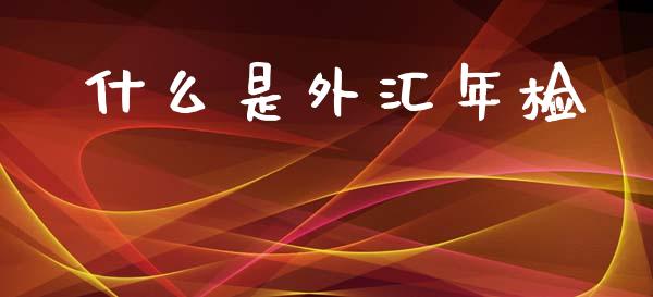 什么是外汇年检_https://m.15771688.com_期货手续费_第1张