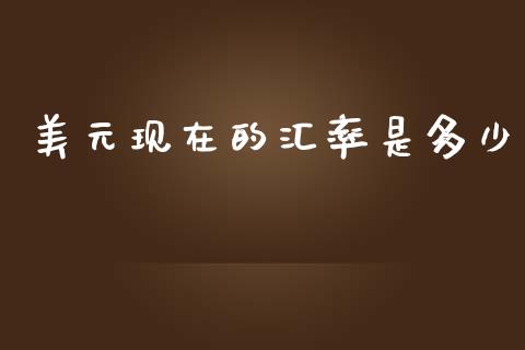 美元现在的汇率是多少_https://m.15771688.com_期货开户_第1张