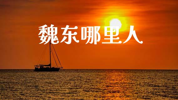魏东哪里人_https://m.15771688.com_期货开户_第1张