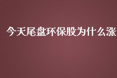 今天尾盘环保股为什么涨_https://m.15771688.com_道指实时行情_第1张