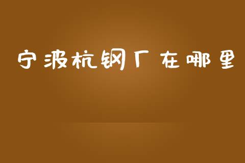 宁波杭钢厂在哪里_https://m.15771688.com_道指实时行情_第1张
