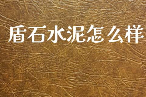 盾石水泥怎么样_https://m.15771688.com_美国道指_第1张