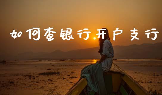 如何查银行开户支行_https://m.15771688.com_美国道指_第1张