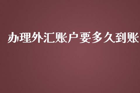 办理外汇账户要多久到账_https://m.15771688.com_美国道指_第1张
