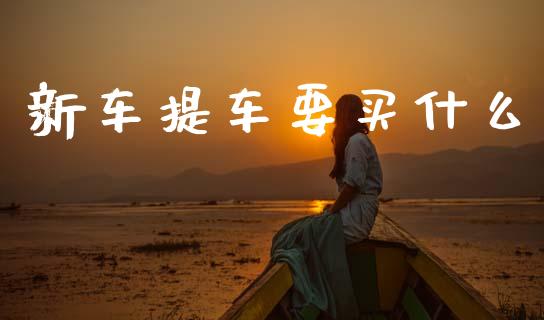 新车提车要买什么_https://m.15771688.com_期货开户_第1张