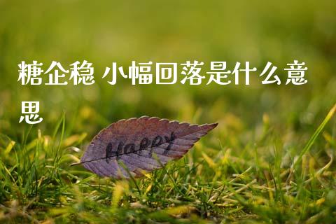 糖企稳 小幅回落是什么意思_https://m.15771688.com_期货手续费_第1张