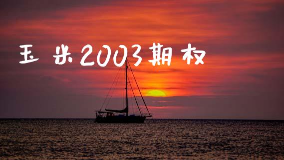 玉米2003期权_https://m.15771688.com_期货手续费_第1张