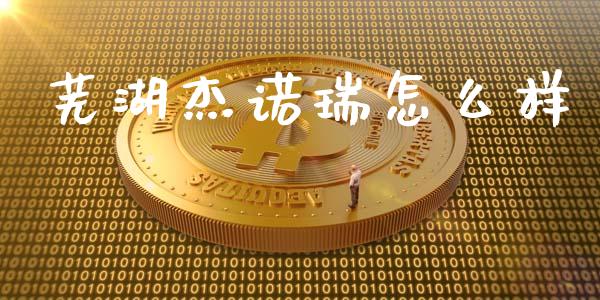 芜湖杰诺瑞怎么样_https://m.15771688.com_道指实时行情_第1张