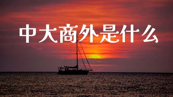 中大商外是什么_https://m.15771688.com_期货手续费_第1张
