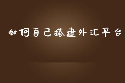 如何自己搭建外汇平台_https://m.15771688.com_美国道指_第1张