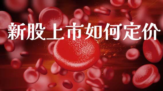新股上市如何定价_https://m.15771688.com_美国道指_第1张