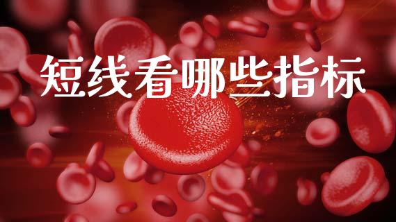短线看哪些指标_期货开户_第1张_期货开户_期货手续费_道指实时行情_美国道指 短线看哪些指标_https://m.15771688.com_期货开户_第1张