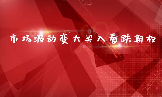 市场波动变大买入看跌期权_https://m.15771688.com_期货手续费_第1张