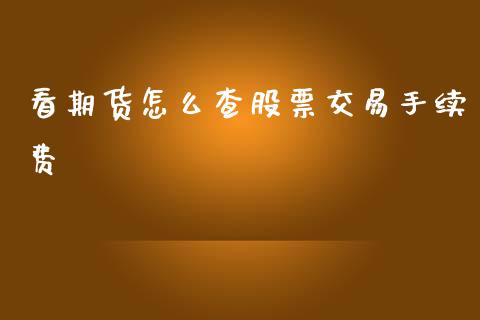 看期货怎么查股票交易手续费_https://m.15771688.com_期货手续费_第1张