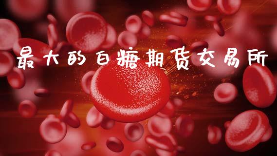 最大的白糖期货交易所_https://m.15771688.com_道指实时行情_第1张