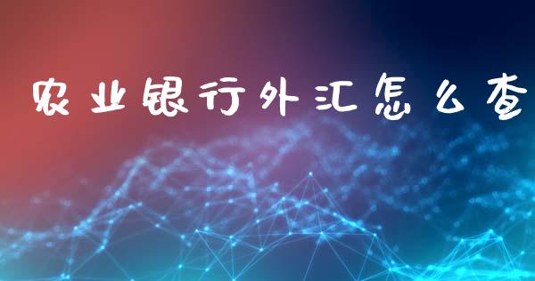 农业银行外汇怎么查_https://m.15771688.com_道指实时行情_第1张