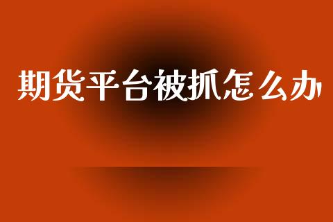 期货平台被抓怎么办_https://m.15771688.com_期货手续费_第1张