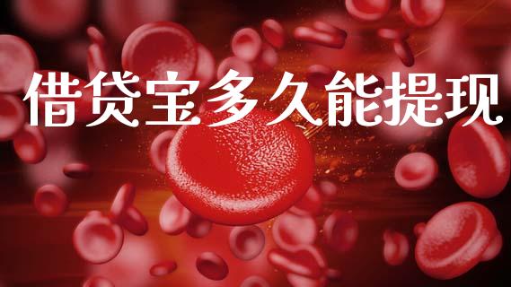 借贷宝多久能提现_https://m.15771688.com_期货手续费_第1张