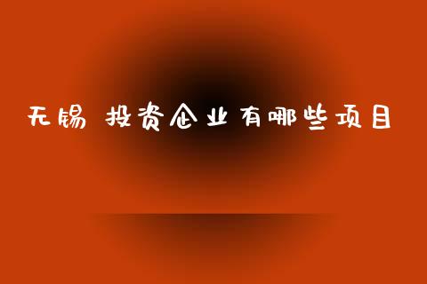 无锡 投资企业有哪些项目_https://m.15771688.com_道指实时行情_第1张