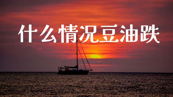 什么情况豆油跌_https://m.15771688.com_道指实时行情_第1张