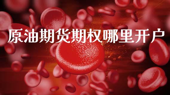 原油期货期权哪里开户_https://m.15771688.com_道指实时行情_第1张