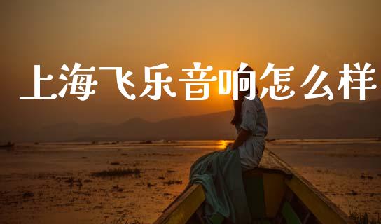 上海飞乐音响怎么样_https://m.15771688.com_期货手续费_第1张
