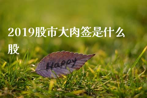 2019股市大肉签是什么股_https://m.15771688.com_美国道指_第1张