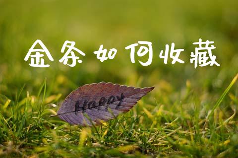 金条如何收藏_https://m.15771688.com_美国道指_第1张