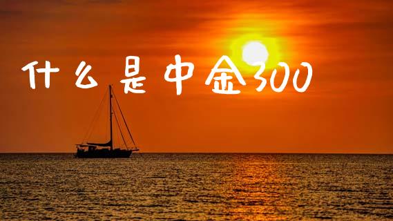 什么是中金300_https://m.15771688.com_美国道指_第1张