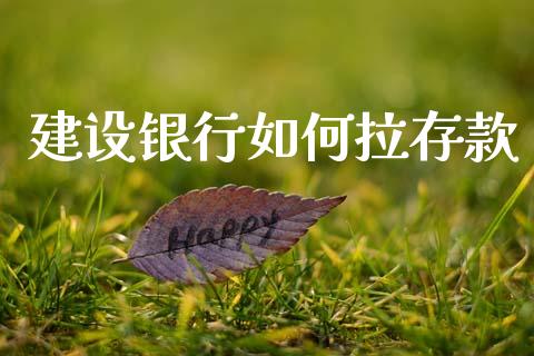 建设银行如何拉存款_https://m.15771688.com_美国道指_第1张