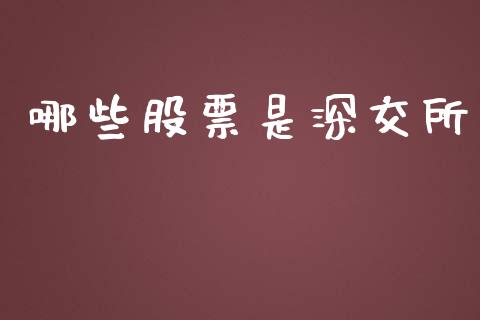 哪些股票是深交所_https://m.15771688.com_道指实时行情_第1张