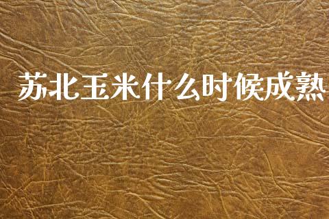 苏北玉米什么时候成熟_https://m.15771688.com_期货手续费_第1张