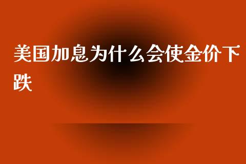 美国加息为什么会使金价下跌_https://m.15771688.com_道指实时行情_第1张