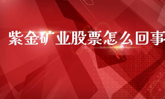 紫金矿业股票怎么回事_https://m.15771688.com_期货手续费_第1张