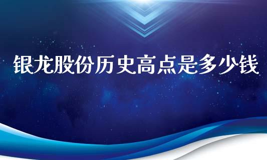 银龙股份历史高点是多少钱_https://m.15771688.com_期货开户_第1张