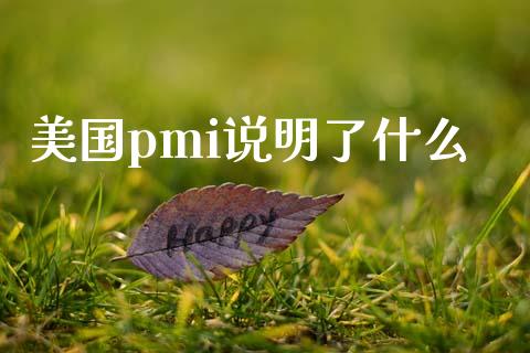 美国pmi说明了什么_https://m.15771688.com_期货手续费_第1张