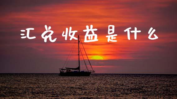 汇兑收益是什么_https://m.15771688.com_期货开户_第1张