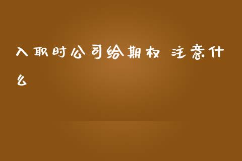 入职时公司给期权 注意什么_https://m.15771688.com_美国道指_第1张