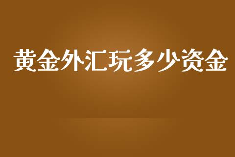黄金外汇玩多少资金_https://m.15771688.com_道指实时行情_第1张